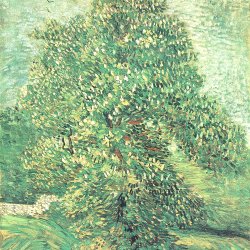 Vincent-van-Gogh-Bluehender-Kastanienbaum-1