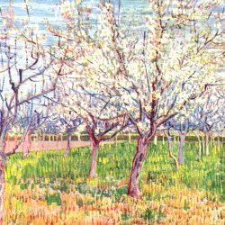 Vincent-van-Gogh-Bluehender-Obstgarten