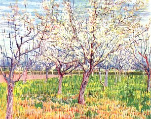 Vincent van Gogh Bluehender Obstgarten Wandbild