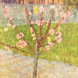 Vincent-van-Gogh-Bluehender-Pfirsichbaum