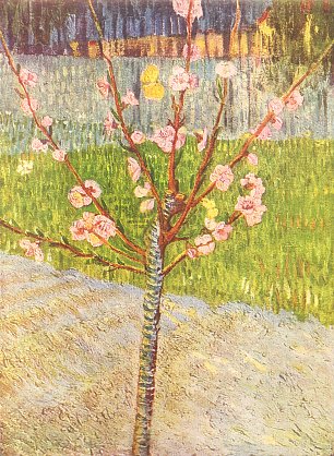 Vincent van Gogh Bluehender Pfirsichbaum Wandbild