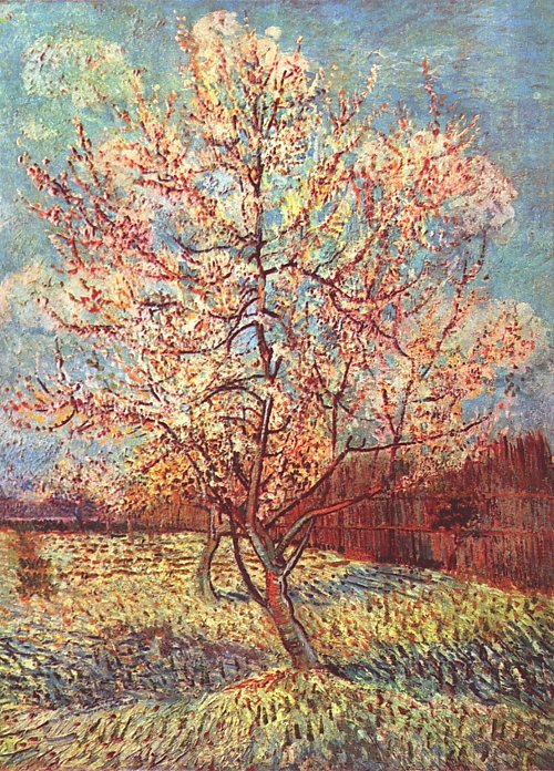 Vincent van Gogh Bluehender Pfirsischbaum Wandbild