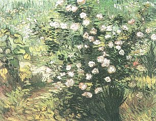 Vincent van Gogh Bluehender Rosenbusch Wandbild