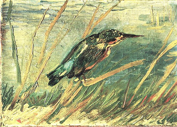 Vincent van Gogh Eisvogel Wandbild