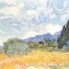 Vincent-van-Gogh-Getreidefeld-mit-Zypressen