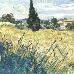 Vincent-van-Gogh-Gruenes-Weizenfeld-mit-Zypresse