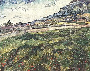 Vincent van Gogh Gruenes Weizenfeld Wandbild