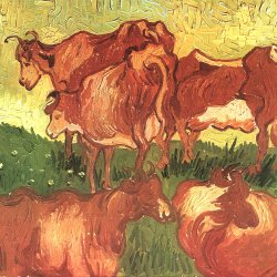 Vincent-van-Gogh-Kuehe