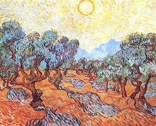 Vincent van Gogh Olivenbaeume Wandbild