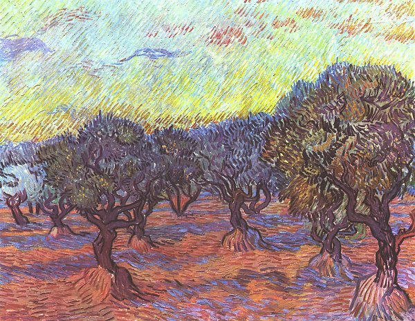 Vincent van Gogh Olivenhain 1 Wandbild