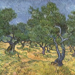 Vincent-van-Gogh-Olivenhain-2