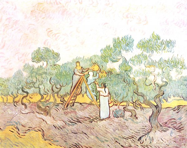 Vincent van Gogh Olivenpflaeckerinnen Wandbild