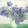 Vincent-van-Gogh-Schwertlilien