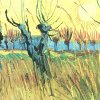 Vincent-van-Gogh-Weiden-bei-Sonnenuntergang