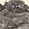 Vincent-van-Gogh-Baum-in-einer-Wiese