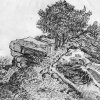 Vincent-van-Gogh-Der-Felsen