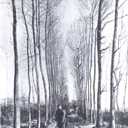 Vincent-van-Gogh-Pappelallee