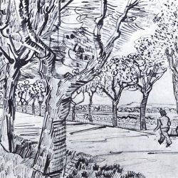 Vincent-van-Gogh-Strasse-nach-Tarascon