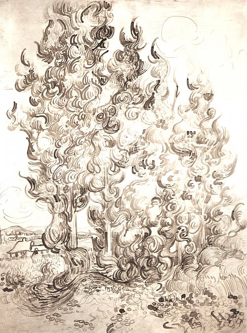 Vincent van Gogh Zypressengehoelz Wandbild