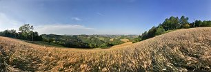 Aehrenfeld Wandbild