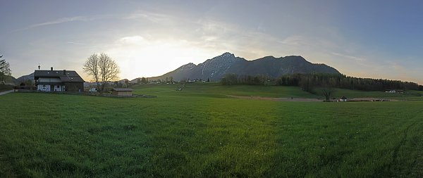 Alpenwiese