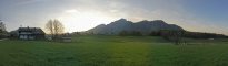 Alpenwiese