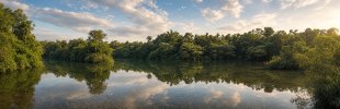 Amazonas