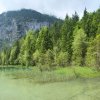 Bergsee-Alpen