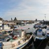 Fischerhafen-AciCastello