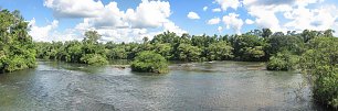 Fluss Urwald Wasser Suedamerika Wandbild