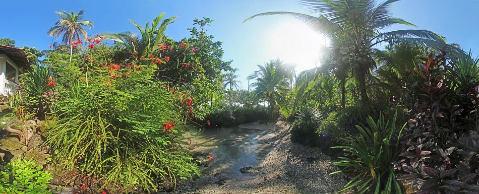 Garten in CostaRica Wandbild