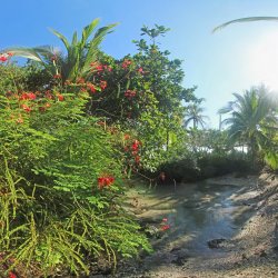 Garten-in-CostaRica