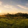 Graslandschaft