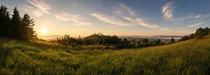 Graslandschaft Wandbild