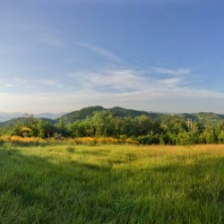 Gruene-Landschaften