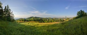 Gruene Landschaften Wandbild