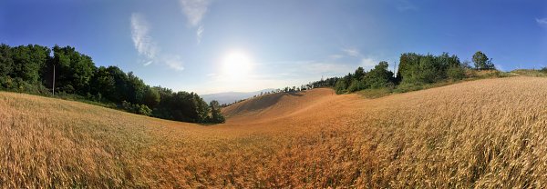 Hochsommer