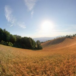 Hochsommer