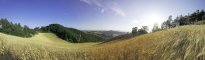 Italien-Toscana