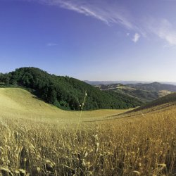 Italien-Toscana