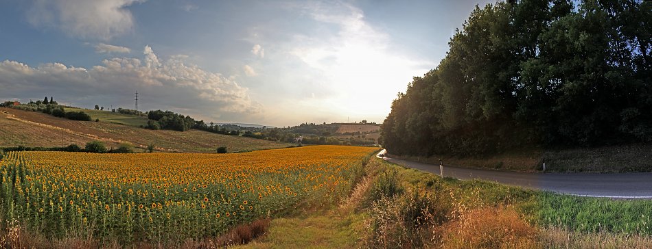 Landstrasse Toscana Wandbild