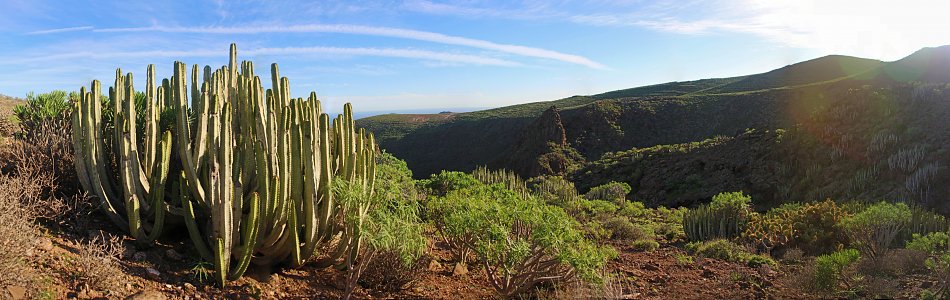 Naturpanorama Gran Canaria Wandbild