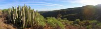 Naturpanorama-Gran-Canaria