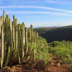 Naturpanorama-Gran-Canaria