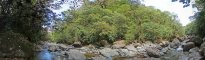 Regenwald-Fluss