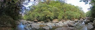 Regenwald-Fluss