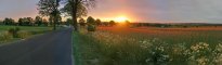 Sonnenuntergang-Wald-Felder-Wiesen