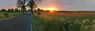 Sonnenuntergang Wald Felder Wiesen Wandbild