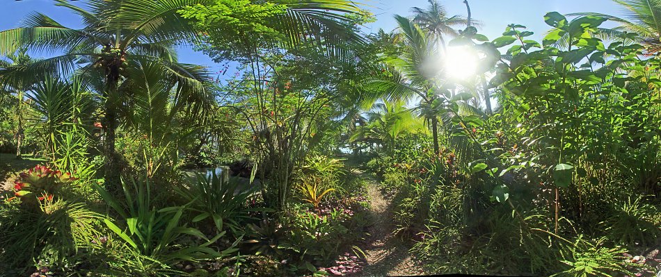 Tropischer Garten Wandbild
