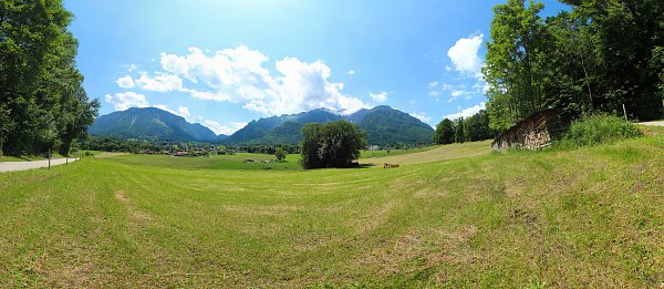 Wiese